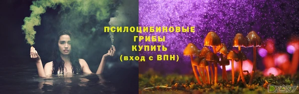 PSILOCYBIN Белая Холуница