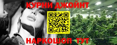 гашик Ирбит