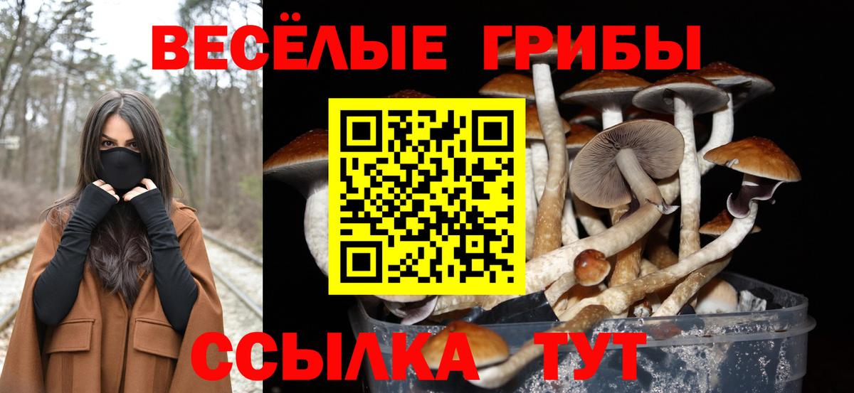 Майский  Вход с VPN  Меф МЯУ МЯУ кристаллы  Бошки Шишки  Экстази 