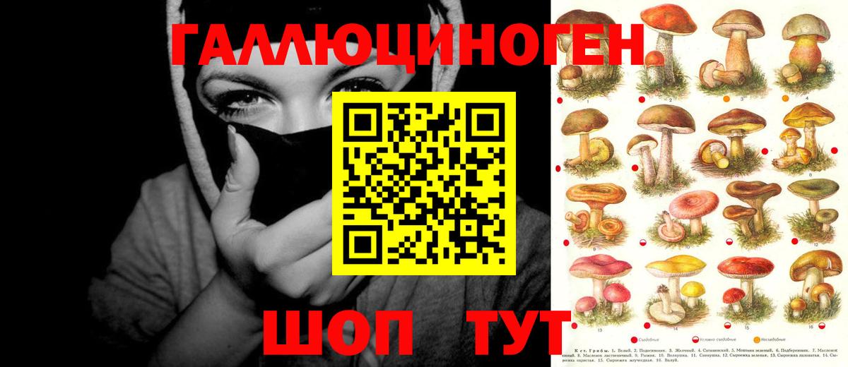 Псилоцибиновые грибы мухоморы  Псилоцибиновые грибы GOLDEN TEACHER  Майский  Вход с VPN 