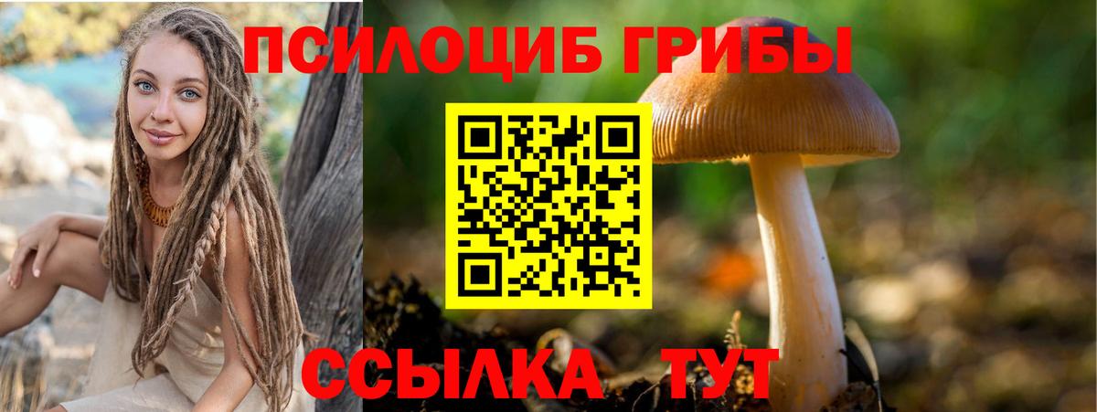 Псилоцибиновые грибы MAGIC MUSHROOMS Майский